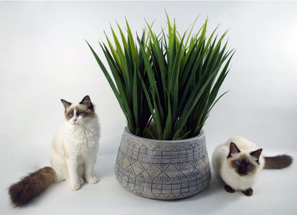 Large Composite Embossed Planter-4