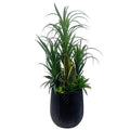 100cm Artificial Yukka Display in Pot Artificial - Premium Quality