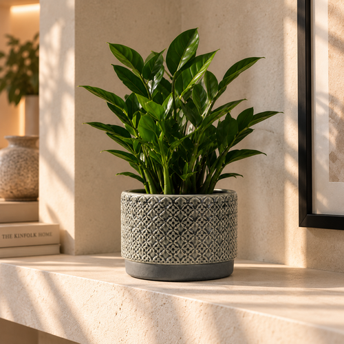 Moderne Grijze Decoratieve Bloempot