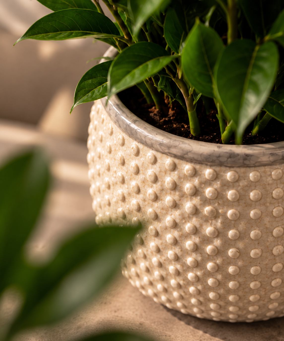 Beige Keramische Bloempot – Dot