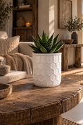 Witte Keramische Bloempot – honinggraad
