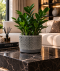 Moderne Grijze Decoratieve Bloempot